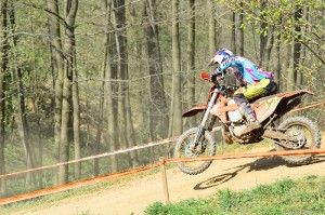 dsc_0406.jpg